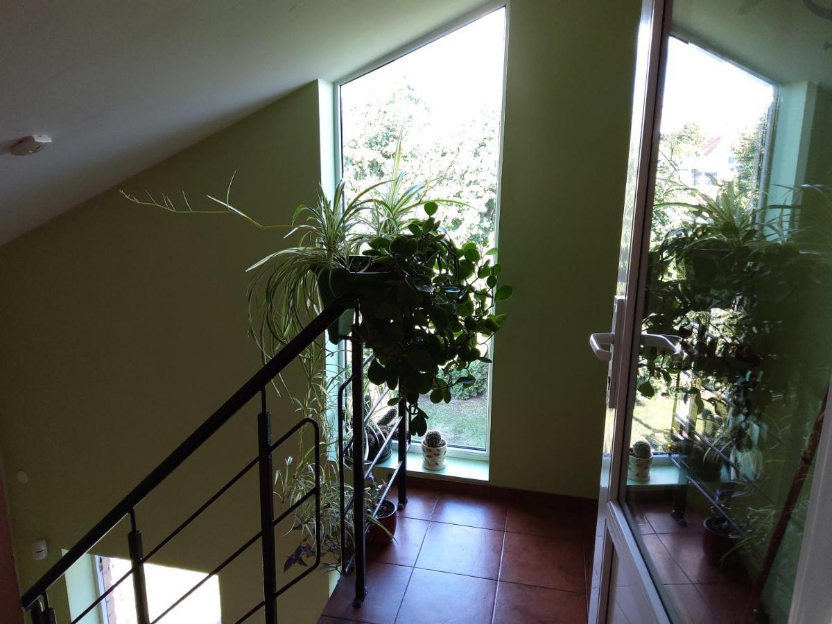 Apartamentai Geguciu Gatveje Клайпеда Экстерьер фото